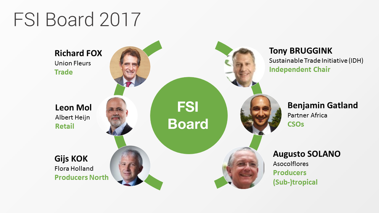 FSI Board 2017