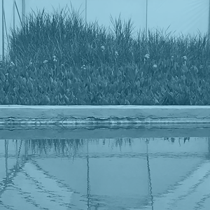 Waste Water Management