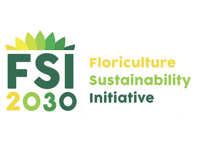 logo_FSI2030_small