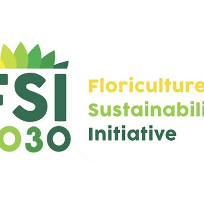 logo_FSI2030_small